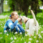 Mujer feliz  jugando con su perro labrador en la hierba